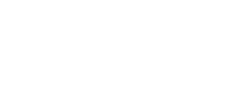 Media Punta